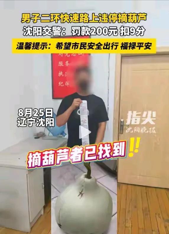 沈阳人把葫芦当宝贝他却拿绳子摘走发结果社会性死亡(图9)