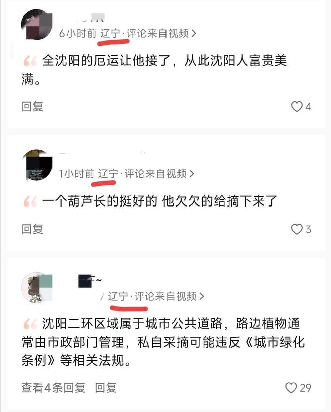 沈阳人把葫芦当宝贝他却拿绳子摘走发结果社会性死亡(图15)