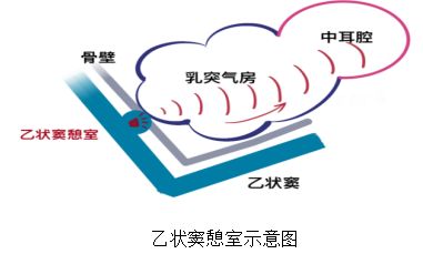 耳边出现心跳声？达州市二医院这台手术让耳朵重归安静！