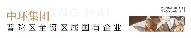 聚焦中环桃源里售楼处发布：中环桃源里实力匠心铸就传奇(图2)