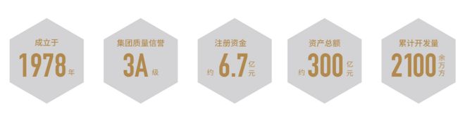 聚焦中环桃源里售楼处发布：中环桃源里实力匠心铸就传奇(图3)