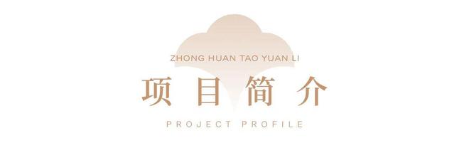 聚焦中环桃源里售楼处发布：中环桃源里实力匠心铸就传奇(图5)