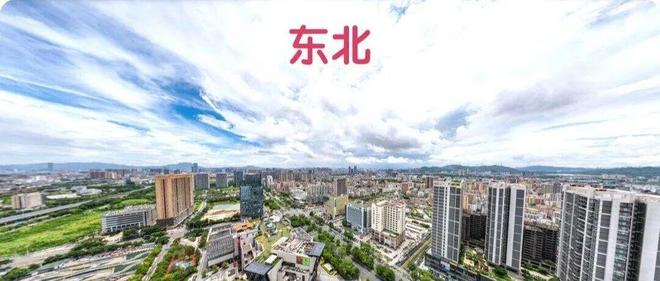 4天接待客户3500组宝安低密住宅【绿城锦和玉鸣】太火了(图20)