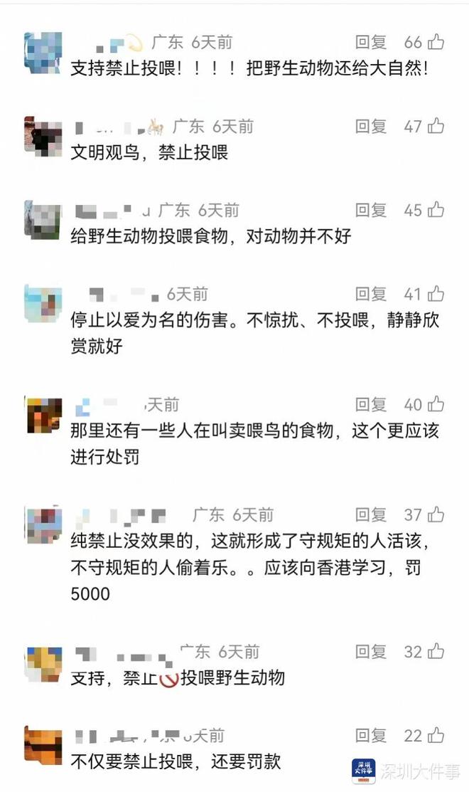 深圳两次“拒绝”网友建议为何评论区却一致点赞？(图4)