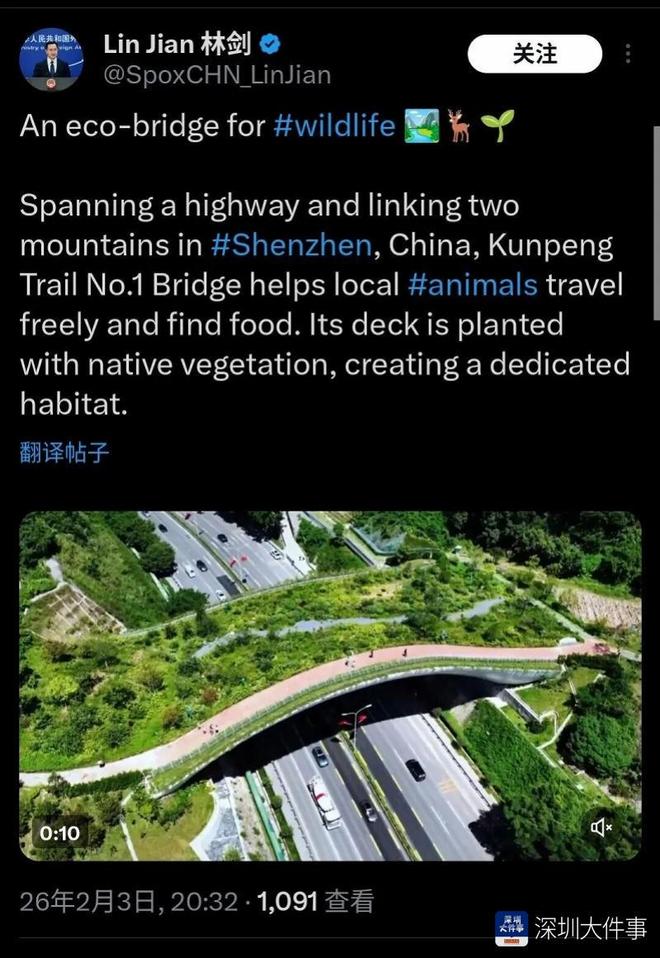 深圳两次“拒绝”网友建议为何评论区却一致点赞？(图7)